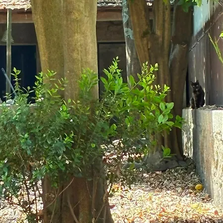 Jardim Appartement